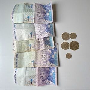 Vintage Malaysia Currency Bundle | Coins + Ringgit Bills | Foreign Money Lot